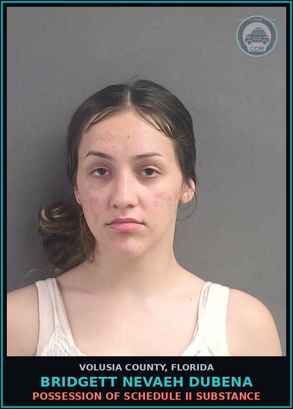 Booking mugshot of BRIDGETT NEVAEH DUBENA in Volusia County