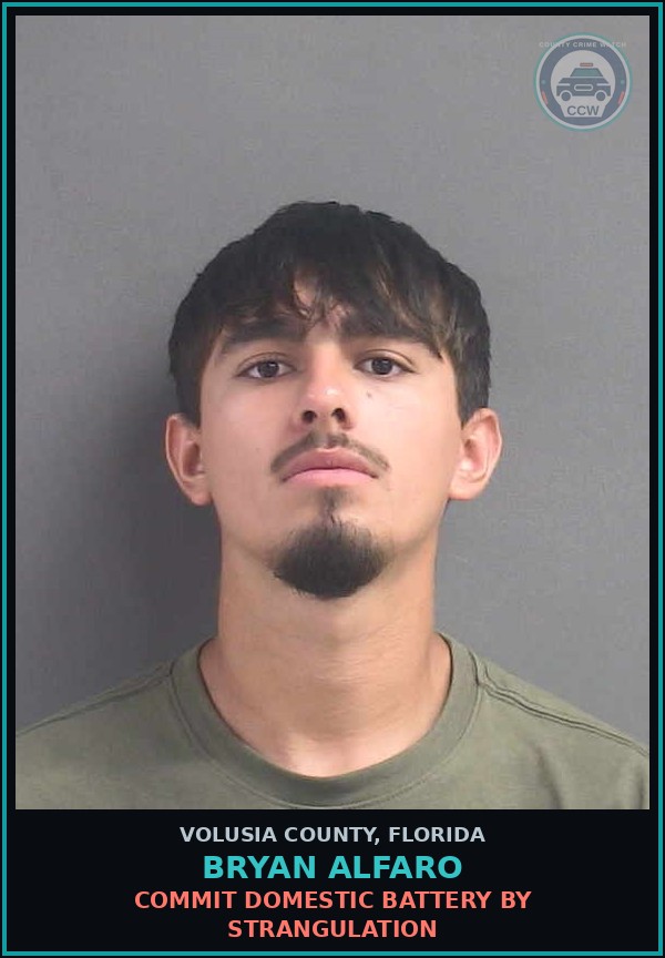 Booking mugshot of BRYAN ALFARO in Volusia County