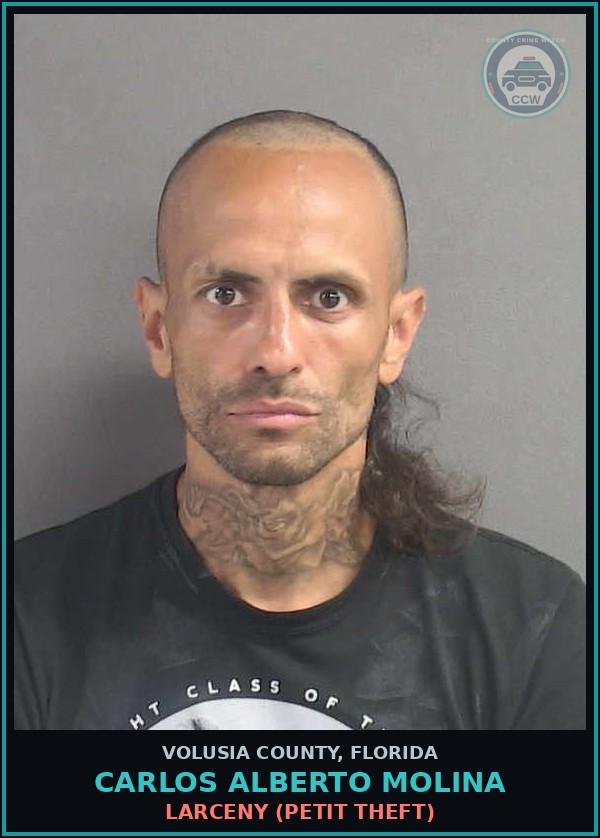 Booking mugshot of CARLOS ALBERTO MOLINA in Volusia County