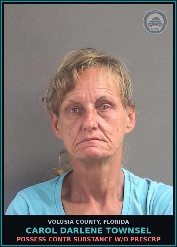 Booking mugshot of CAROL DARLENE TOWNSEL in Volusia County