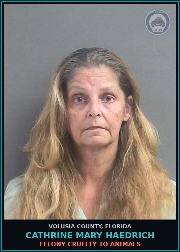 Booking mugshot of CATHRINE MARY HAEDRICH in Volusia County