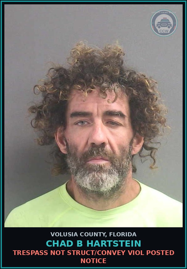 Booking mugshot of CHAD B HARTSTEIN in Volusia County