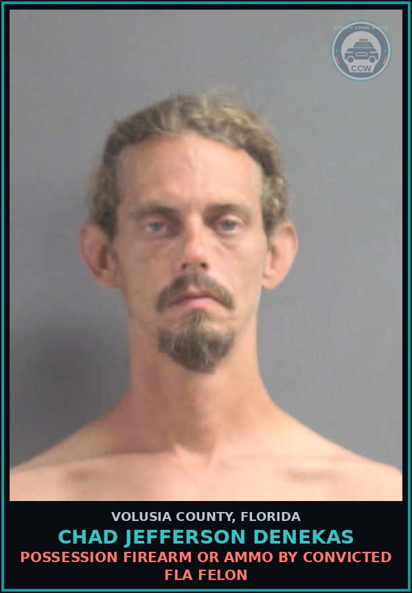 Booking mugshot of CHAD JEFFERSON DENEKAS in Volusia County