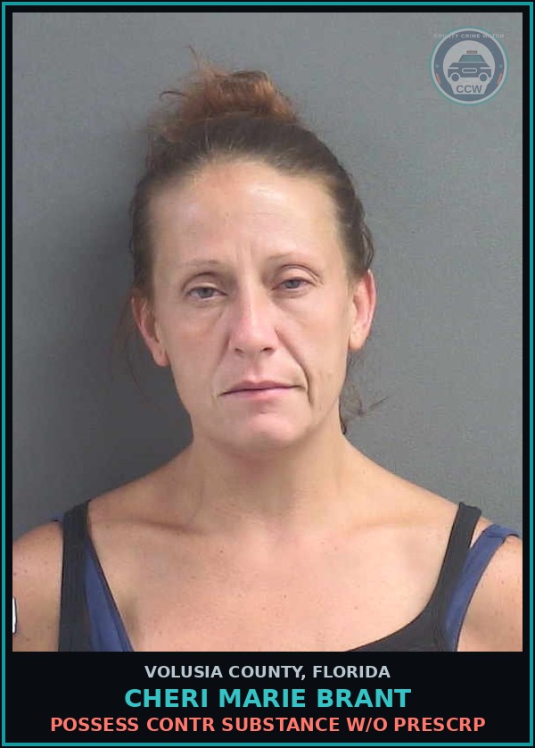 Booking mugshot of CHERI MARIE BRANT in Volusia County