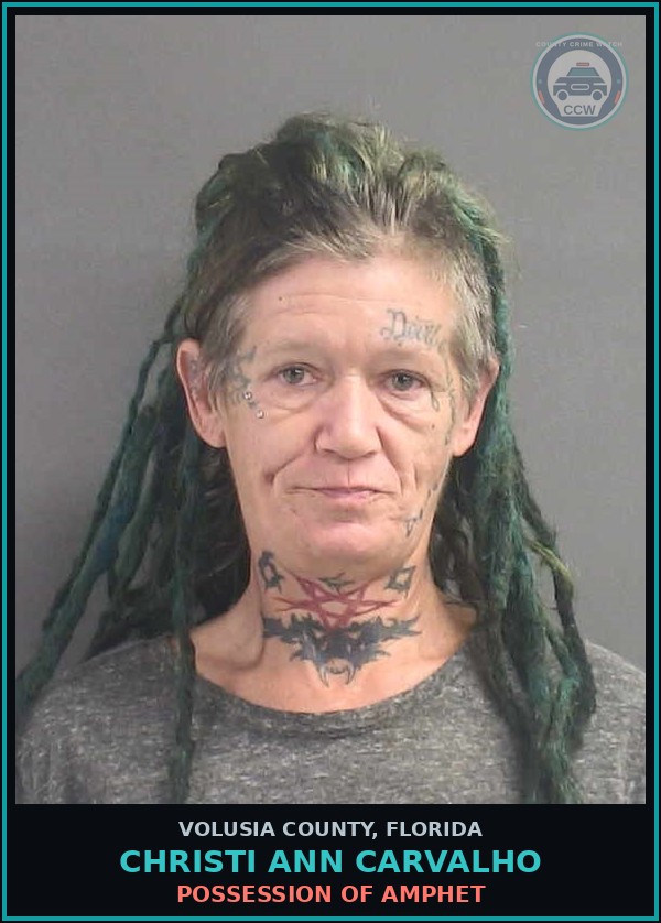 Booking mugshot of CHRISTI ANN CARVALHO in Volusia County