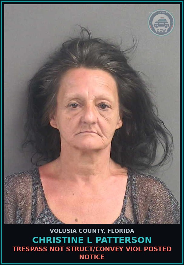 Booking mugshot of CHRISTINE L PATTERSON in Volusia County