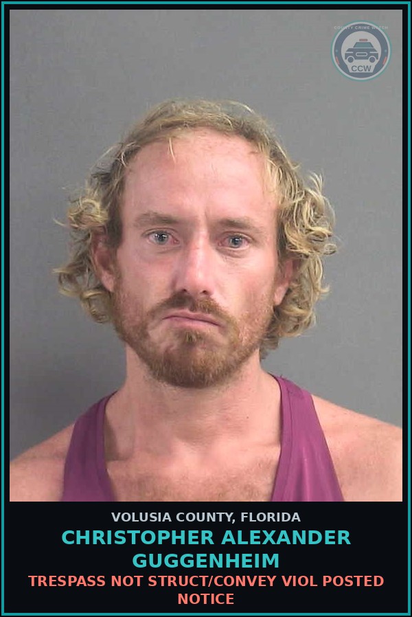 Booking mugshot of CHRISTOPHER ALEXANDER GUGGENHEIM in Volusia County