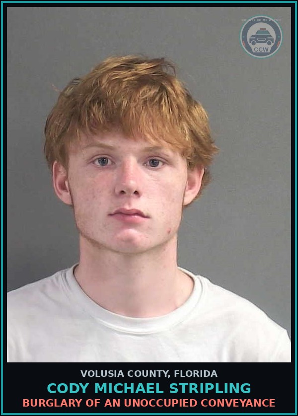 Booking mugshot of CODY MICHAEL STRIPLING in Volusia County