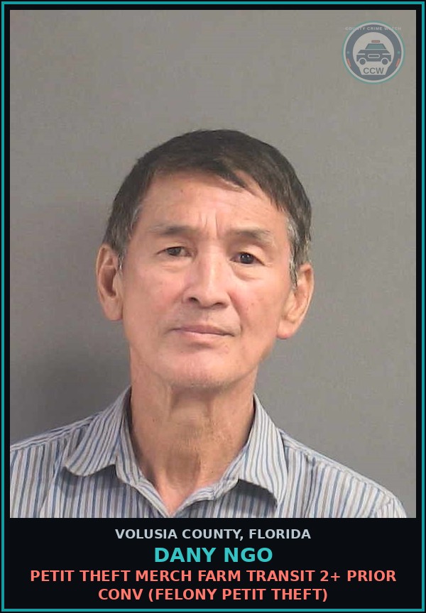 Booking mugshot of DANY NGO in Volusia County
