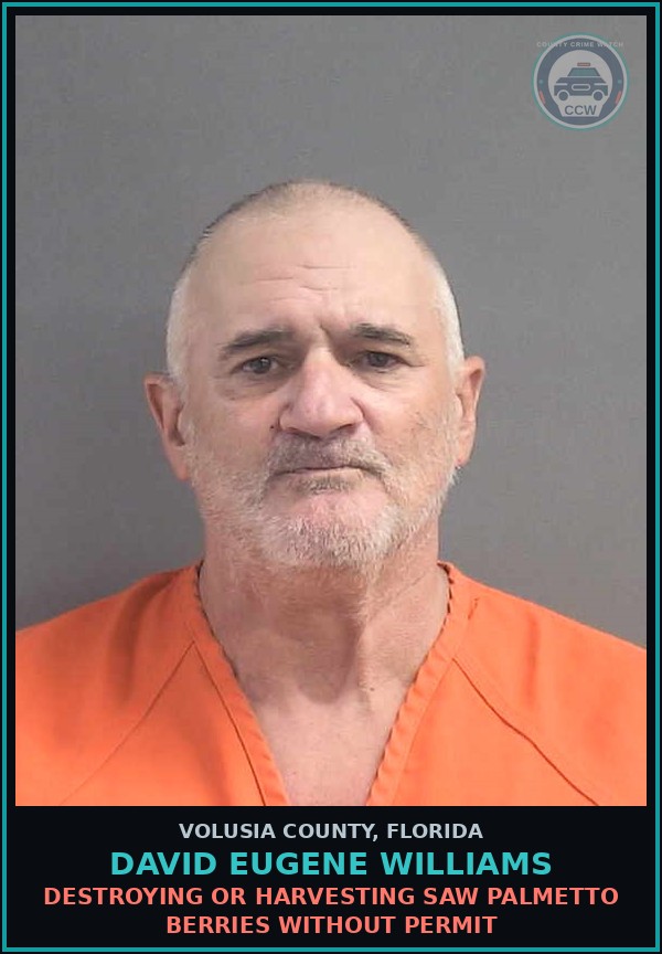 Booking mugshot of DAVID EUGENE WILLIAMS in Volusia County