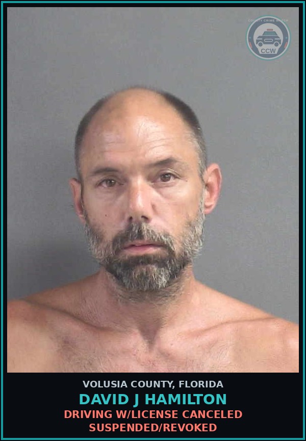 Booking mugshot of DAVID J HAMILTON in Volusia County
