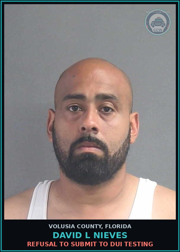 Booking mugshot of DAVID L NIEVES in Volusia County