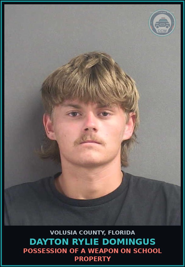 Booking mugshot of DAYTON RYLIE DOMINGUS in Volusia County