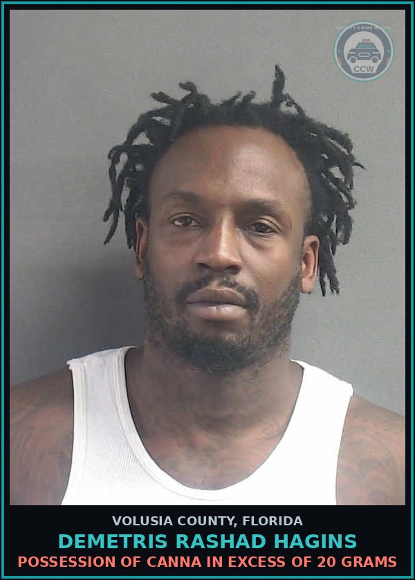 Booking mugshot of DEMETRIS RASHAD HAGINS in Volusia County