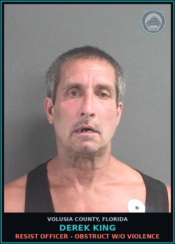 Booking mugshot of DEREK KING in Volusia County