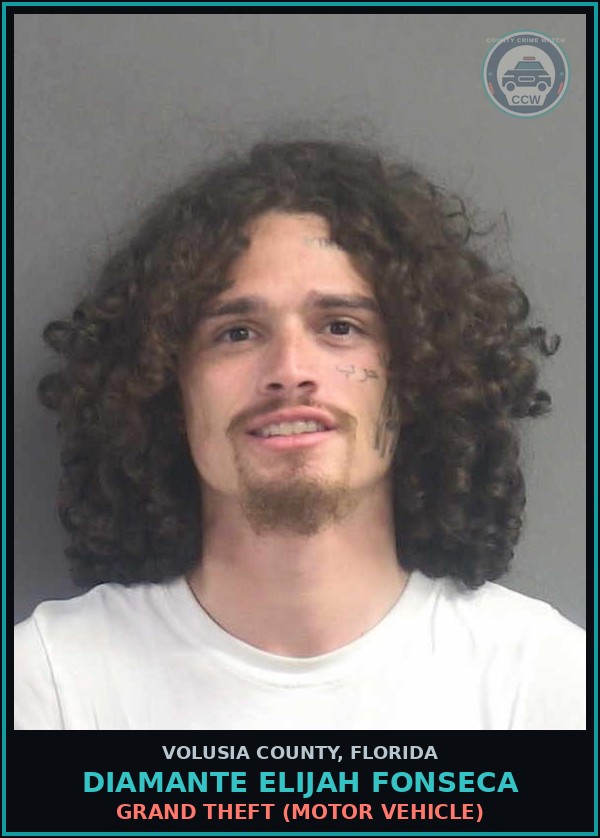 Booking mugshot of DIAMANTE ELIJAH FONSECA in Volusia County