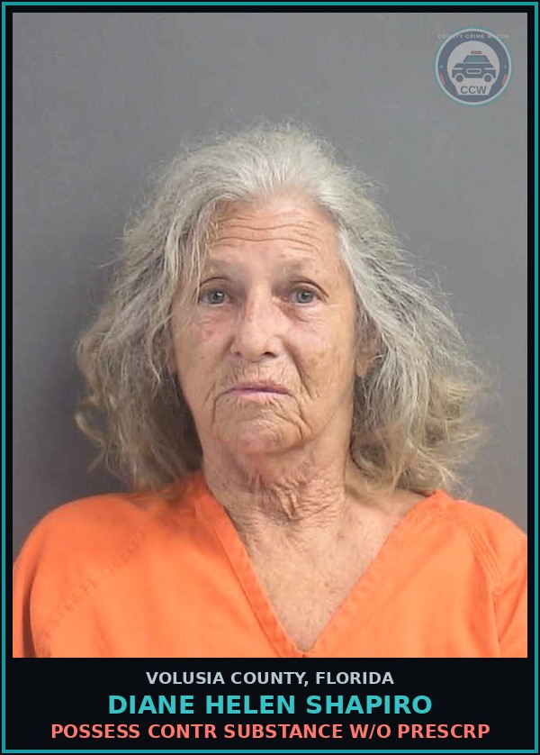 Booking mugshot of DIANE HELEN SHAPIRO in Volusia County