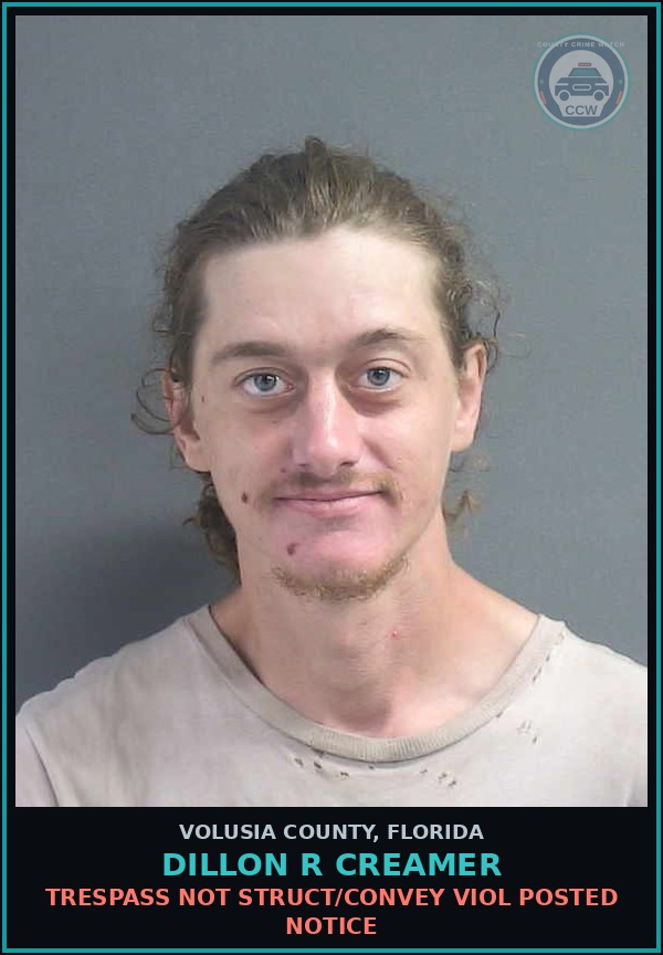 Booking mugshot of DILLON R CREAMER in Volusia County