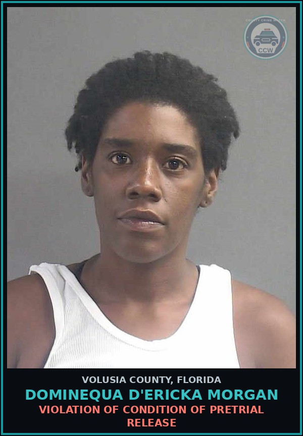 Booking mugshot of DOMINEQUA D'ERICKA MORGAN in Volusia County