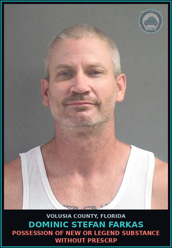 Booking mugshot of DOMINIC STEFAN FARKAS in Volusia County