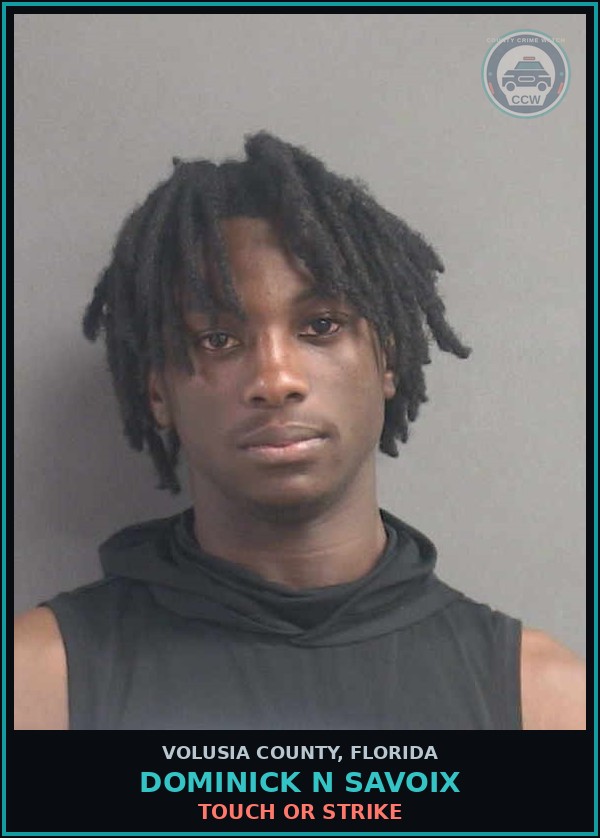 Booking mugshot of DOMINICK N SAVOIX in Volusia County