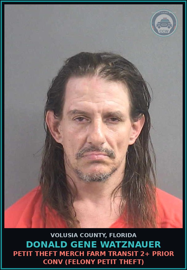 Booking mugshot of DONALD GENE WATZNAUER in Volusia County