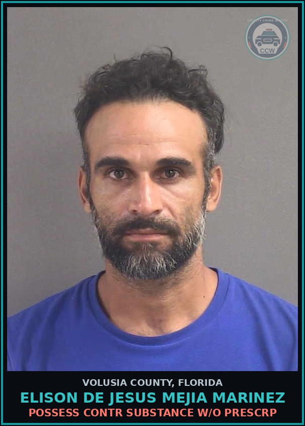 Booking mugshot of ELISON DE JESUS MEJIA MARINEZ in Volusia County
