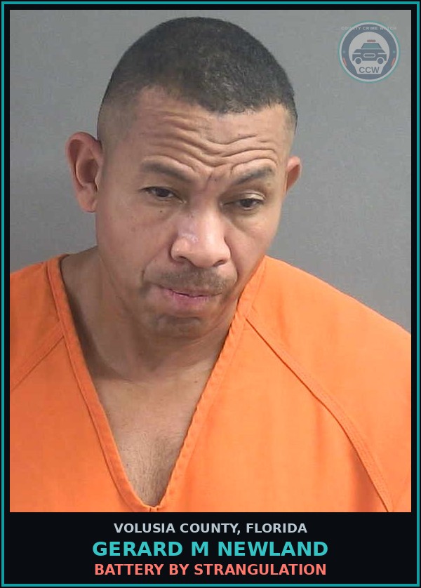 Booking mugshot of GERARD M NEWLAND in Volusia County