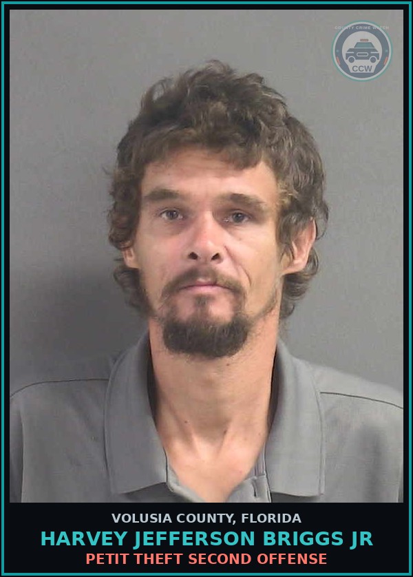 Booking mugshot of HARVEY JEFFERSON BRIGGS JR in Volusia County