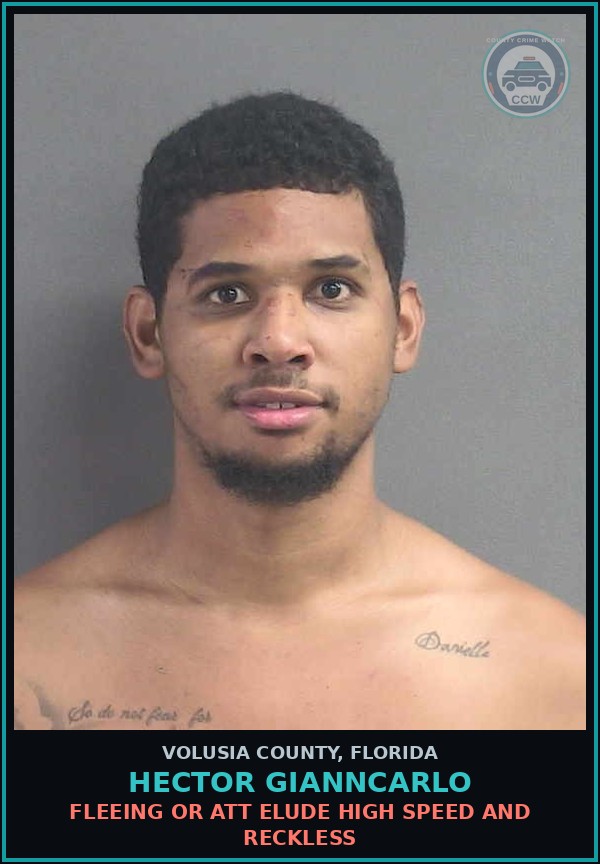 Booking mugshot of HECTOR GIANNCARLO in Volusia County