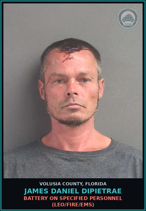 Booking mugshot of JAMES DANIEL DIPIETRAE in Volusia County