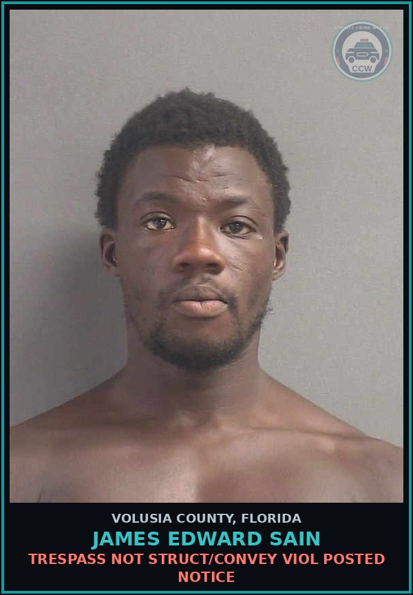 Booking mugshot of JAMES EDWARD SAIN in Volusia County