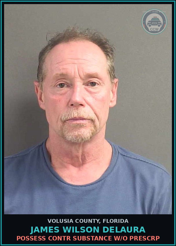 Booking mugshot of JAMES WILSON DELAURA in Volusia County