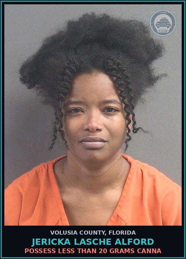 Booking mugshot of JERICKA LASCHE ALFORD in Volusia County
