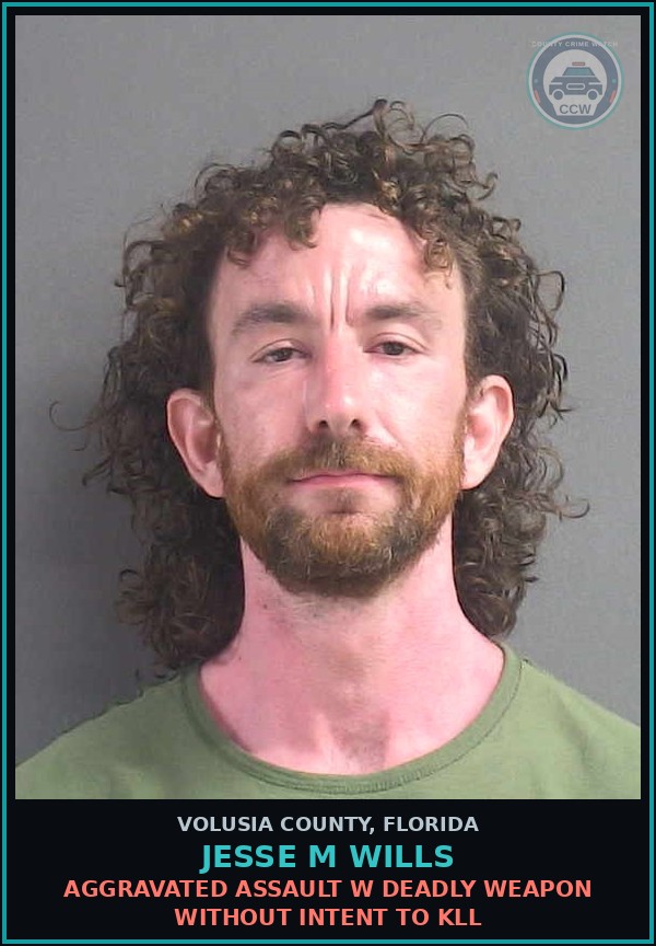 Booking mugshot of JESSE M WILLS in Volusia County