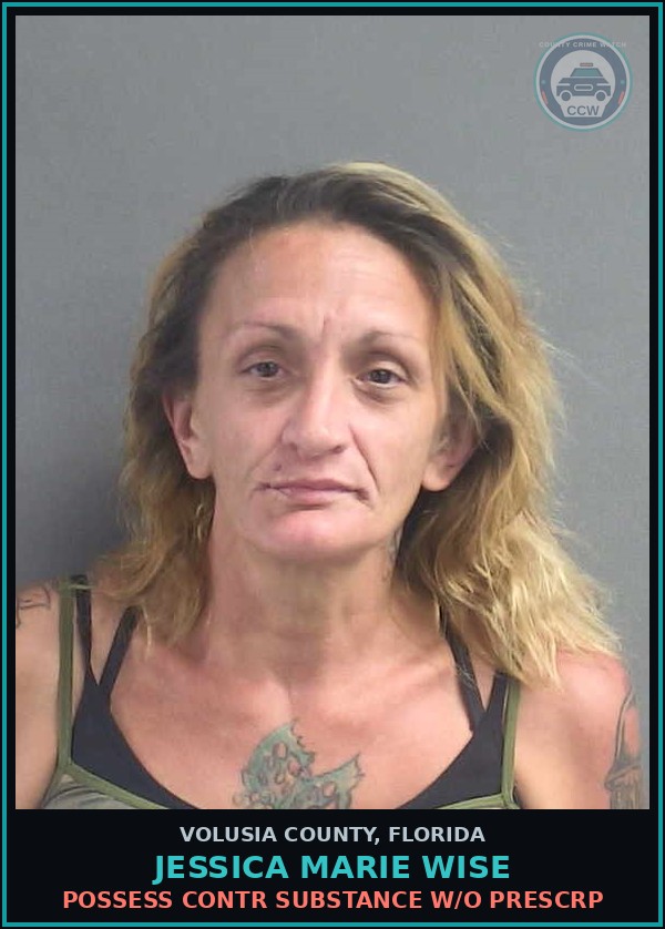 Booking mugshot of JESSICA MARIE WISE in Volusia County