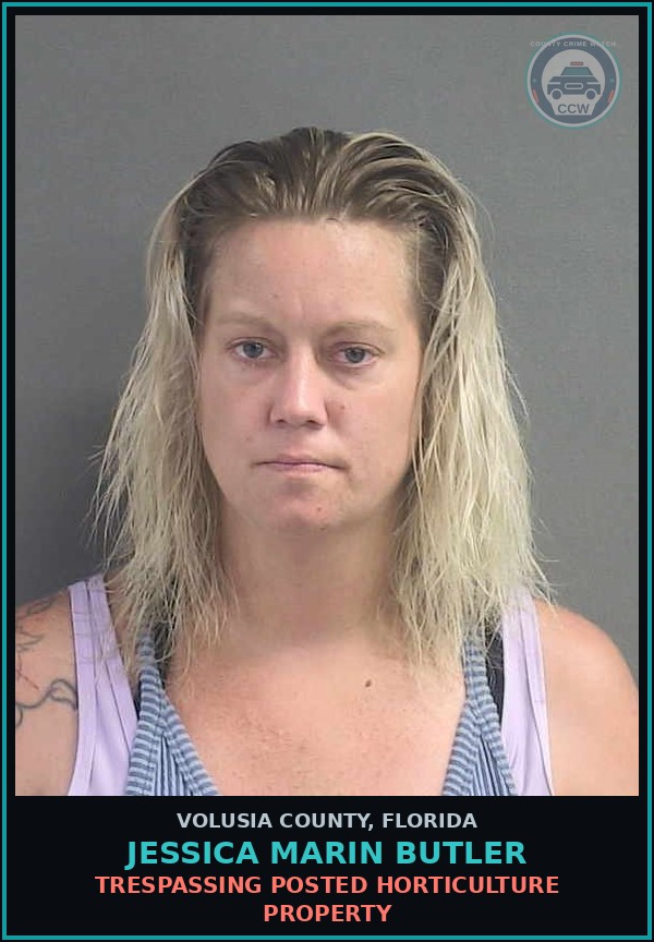 Booking mugshot of JESSICA MARIN BUTLER in Volusia County