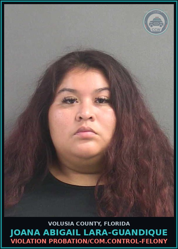 Booking mugshot of JOANA ABIGAIL LARA-GUANDIQUE in Volusia County