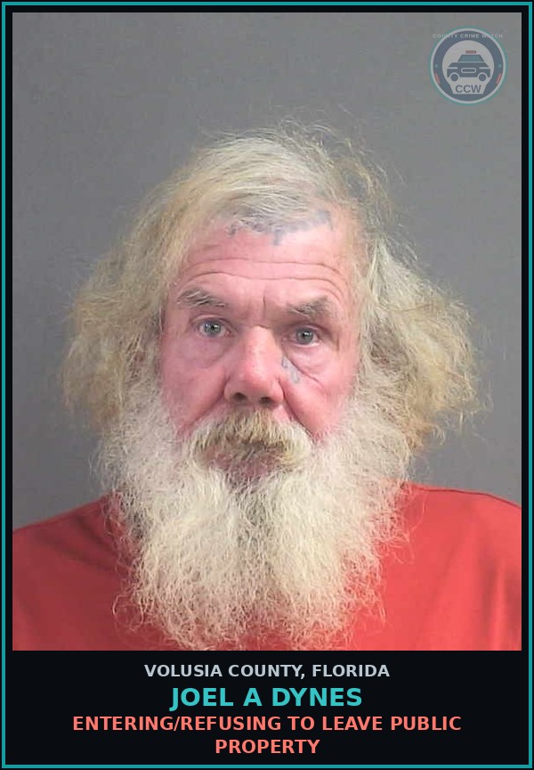Booking mugshot of JOEL A DYNES in Volusia County