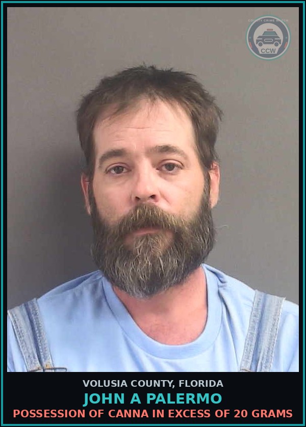 Booking mugshot of JOHN A PALERMO in Volusia County