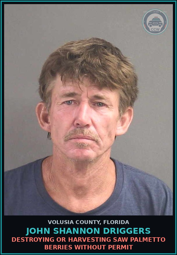 Booking mugshot of JOHN SHANNON DRIGGERS in Volusia County
