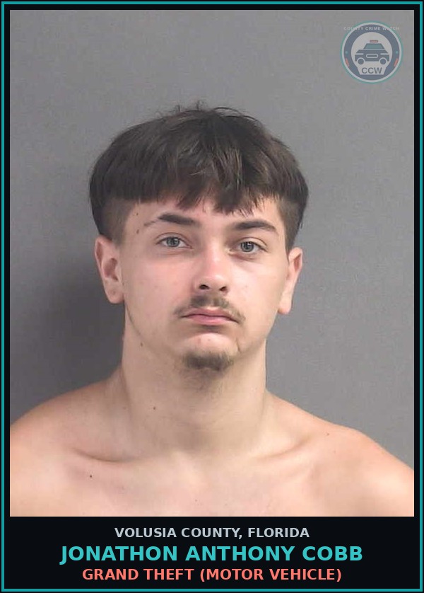 Booking mugshot of JONATHON ANTHONY COBB in Volusia County