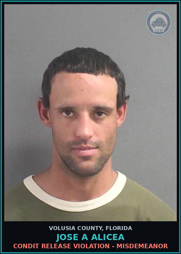 Booking mugshot of JOSE A ALICEA in Volusia County
