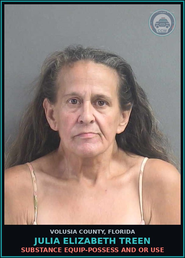 Booking mugshot of JULIA ELIZABETH TREEN in Volusia County