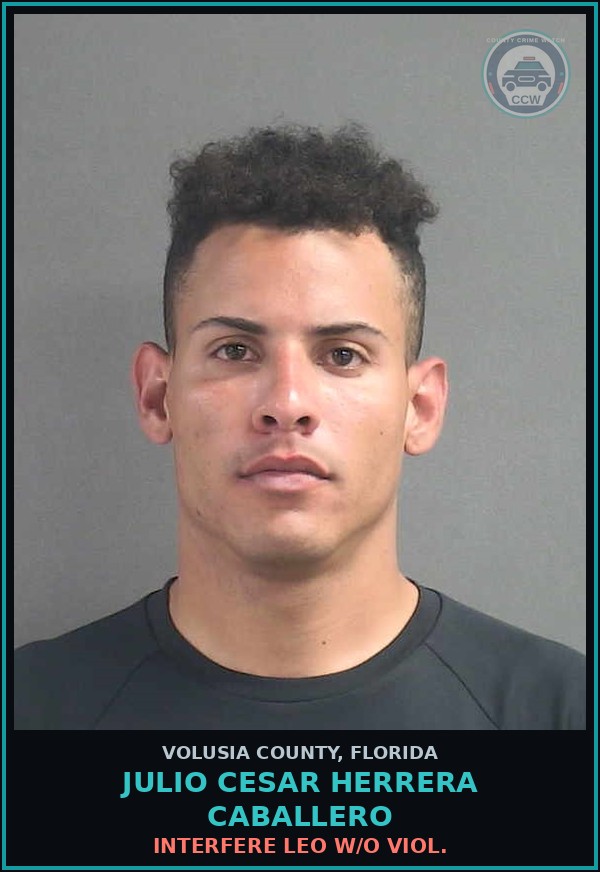 Booking mugshot of JULIO CESAR HERRERA CABALLERO in Volusia County
