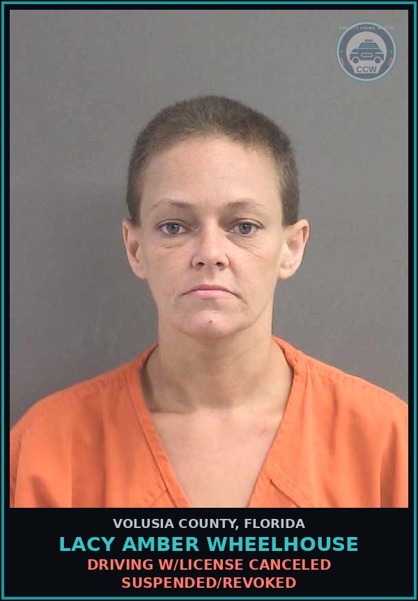 Booking mugshot of LACY AMBER WHEELHOUSE in Volusia County