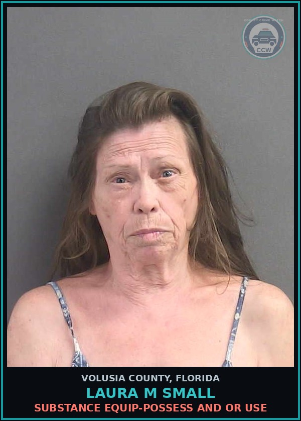 Booking mugshot of LAURA M SMALL in Volusia County