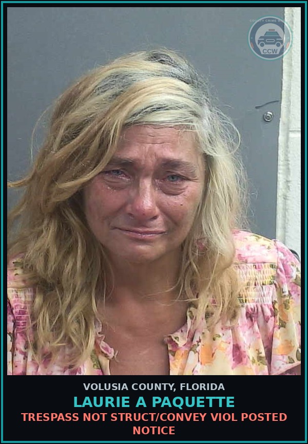 Booking mugshot of LAURIE A PAQUETTE in Volusia County