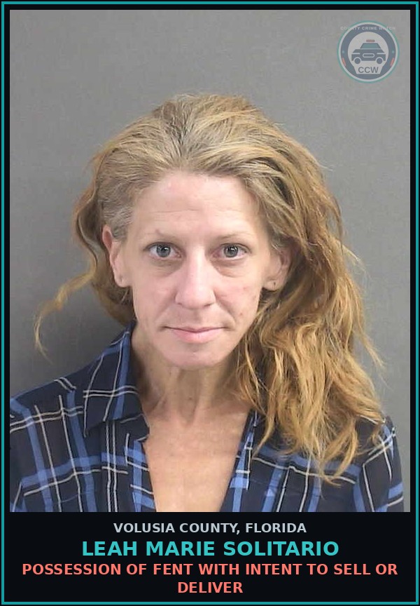 Booking mugshot of LEAH MARIE SOLITARIO in Volusia County