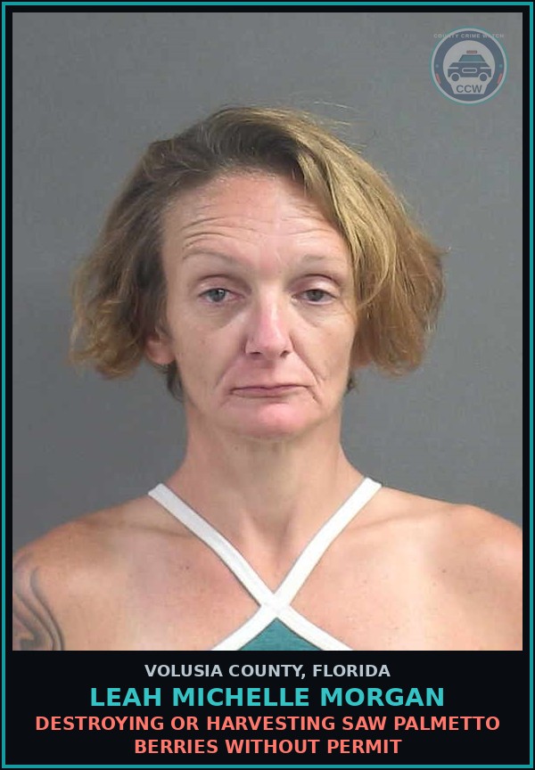 Booking mugshot of LEAH MICHELLE MORGAN in Volusia County